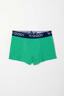 Jongens Boxer,groen-blauw streep+groen 241-10-CLD-Z/064