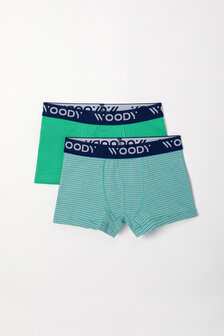 Jongens Boxer,groen-blauw streep+groen 241-10-CLD-Z/064