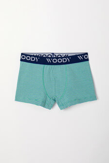 Jongens Boxer,groen-blauw streep+groen 241-10-CLD-Z/064