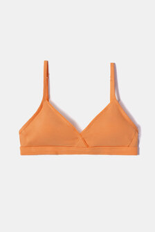 252-10-BRA-Z/509 BH oranje