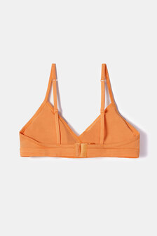252-10-BRA-Z/509 BH oranje