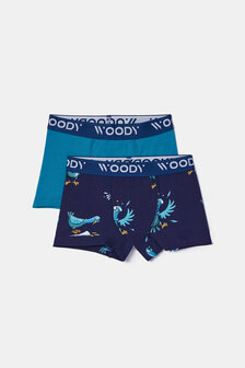 252-10-CLD-Z/022 Jongens, set groenblauw + duivenprint